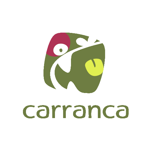 carranca-design